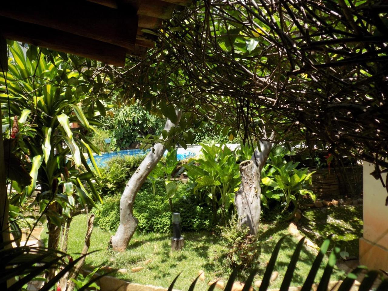 Pousada Fenix Pirenópolis 外观 照片